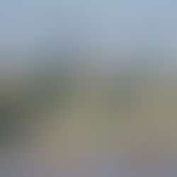           网络浪漫爱情多诈骗FBI 吁长者慎入 