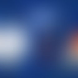 福雷斯特诉 Facebook 公司
